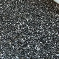 Chia Seeds