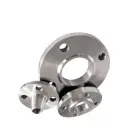 Forged Flanges
