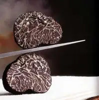 Truffle