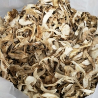 Matsutake