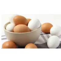 Egg