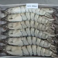 Black Tiger Prawn