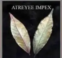 Atreyee Impex logo