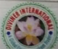 Diviner International logo
