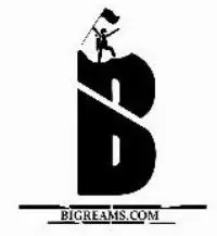 Bigreams International logo
