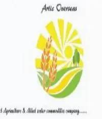 Artic Overseas logo