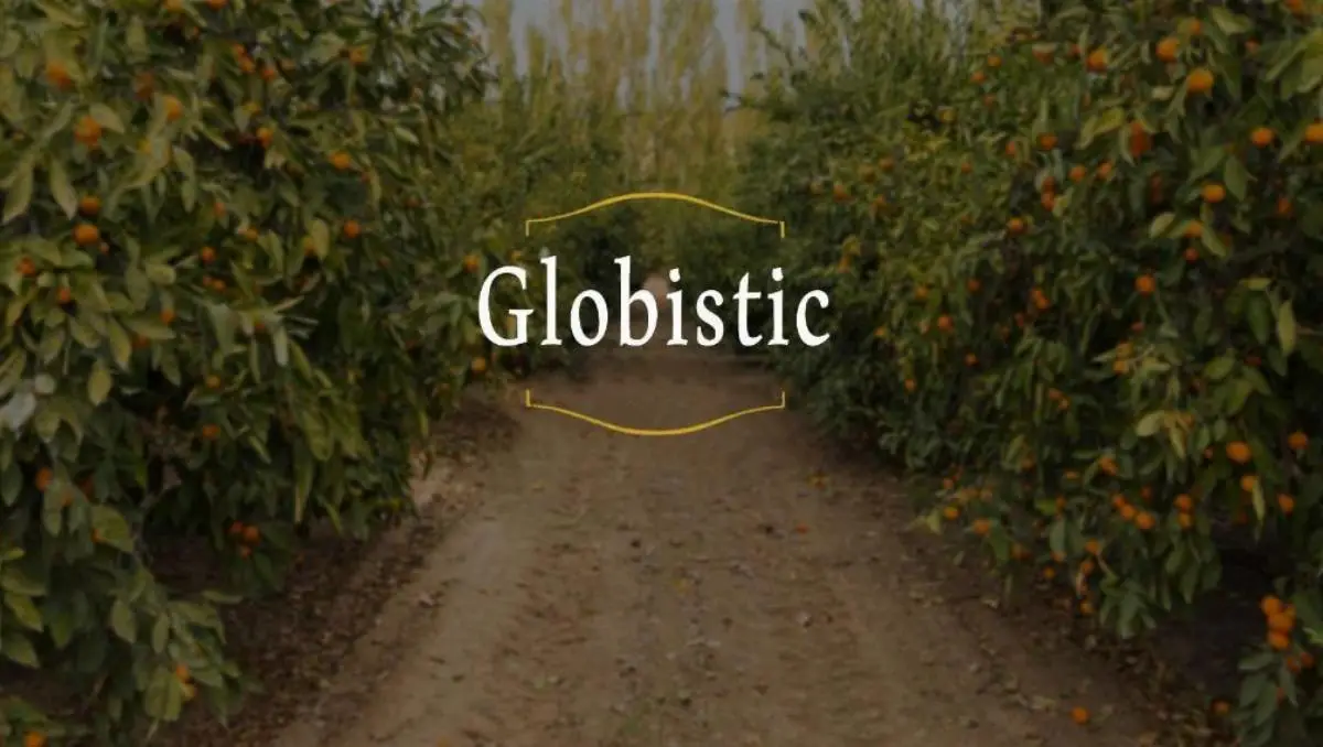 Globistic company image 1