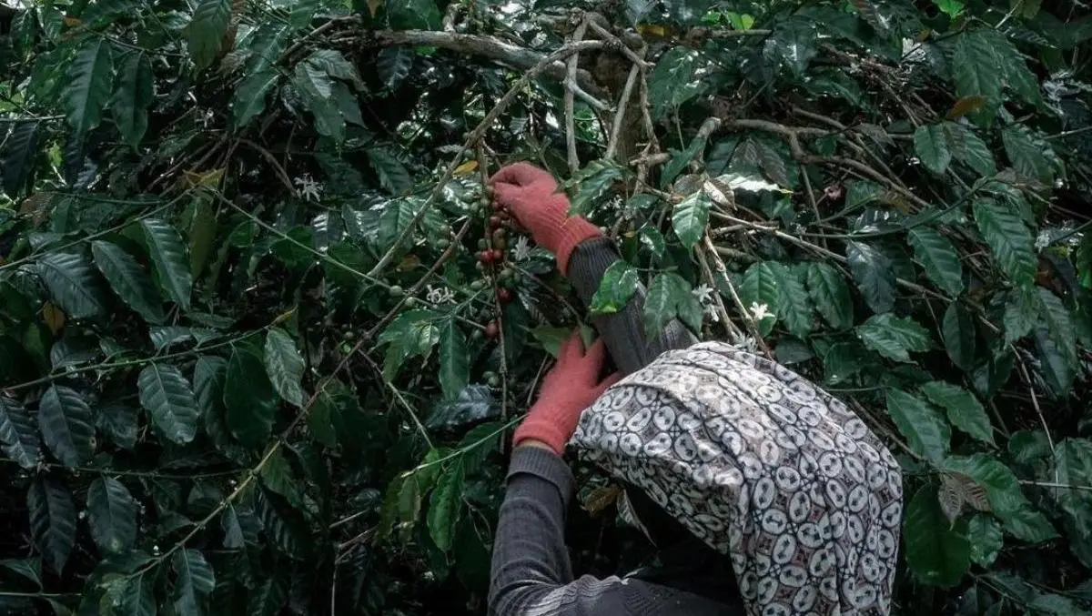 PT Geladeri Agraria Indonesia company image 1