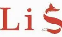 Leader Investment Solution Inc logo