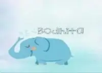 Bodhita Enterprises logo