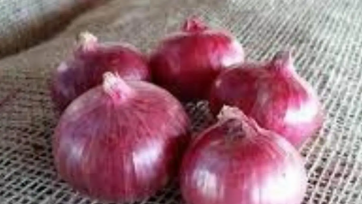 Ishwariyam Exports company image 1