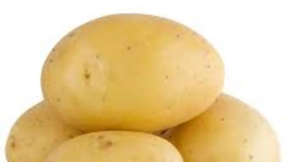 Ishwariyam Exports company image 2