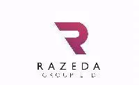 Razeda Group Limited logo