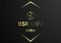 BSR Exim Global logo