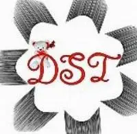 Divya Soft Toys logo