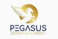 Pegasus International Exports logo