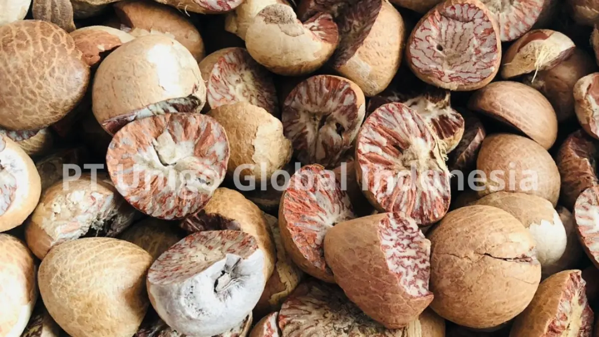 PT Unigo Global Indonesia company image 1