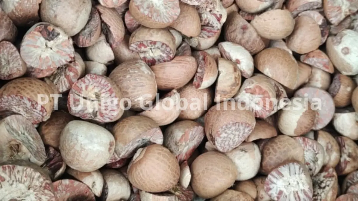 PT Unigo Global Indonesia company image 2