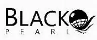 Black Pearl Petrol Kimya Petrokimya Insaat Tasimacilik Makina Sanayi Ve Ticaret Limited Sirketi logo