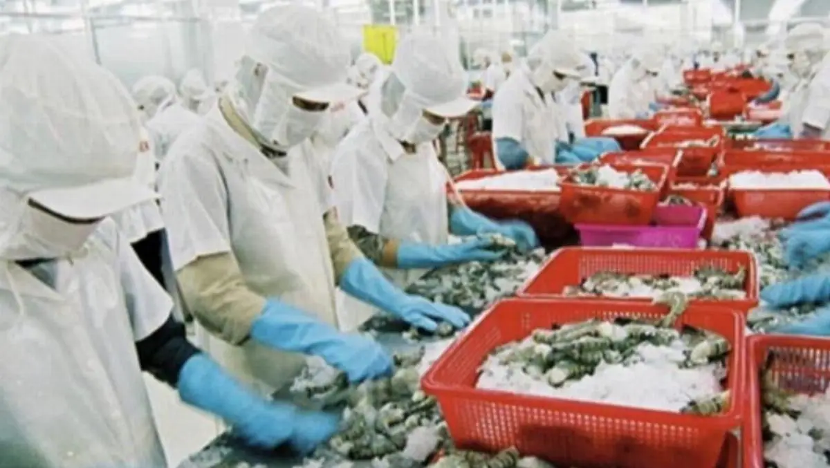 TPP Co.  company image 2