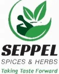 Seppel Holdings Pvt. Ltd. logo