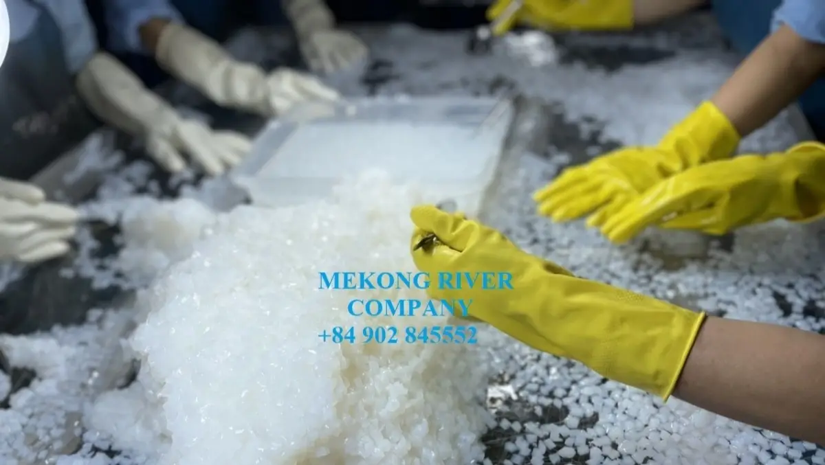Mekong River company image 2