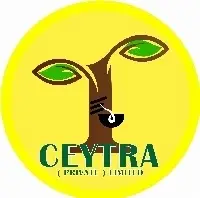 Ceytra Private Limited logo