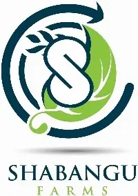 Shabangu Farms Limited logo