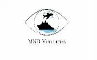MSB Ventures logo