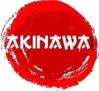 Akinawa International Fz-LLC logo