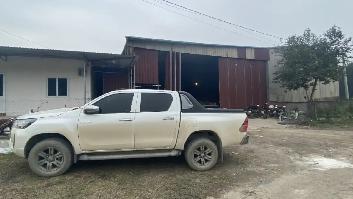 VN Easterly company image 2