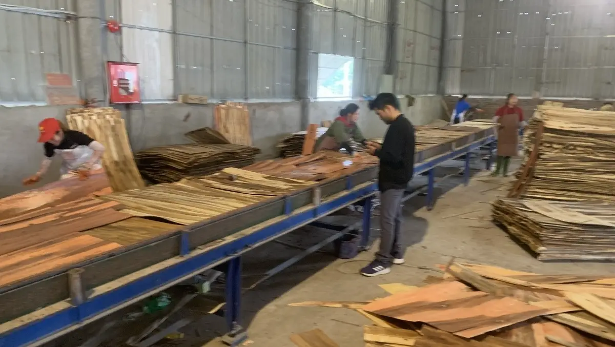 VN Easterly factory image