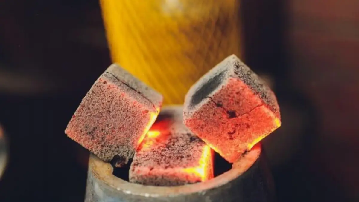 PT. Sang Naga Nusantara company image 1