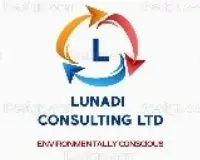 Lunadi Consulting Ltd. logo