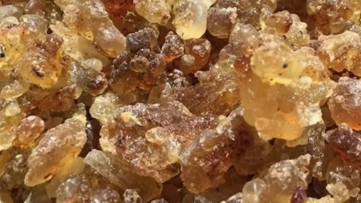 Frankincense Store company image 1