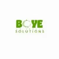 Boye Universal Solutions Limited logo