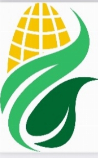 Premium Corn Processing
