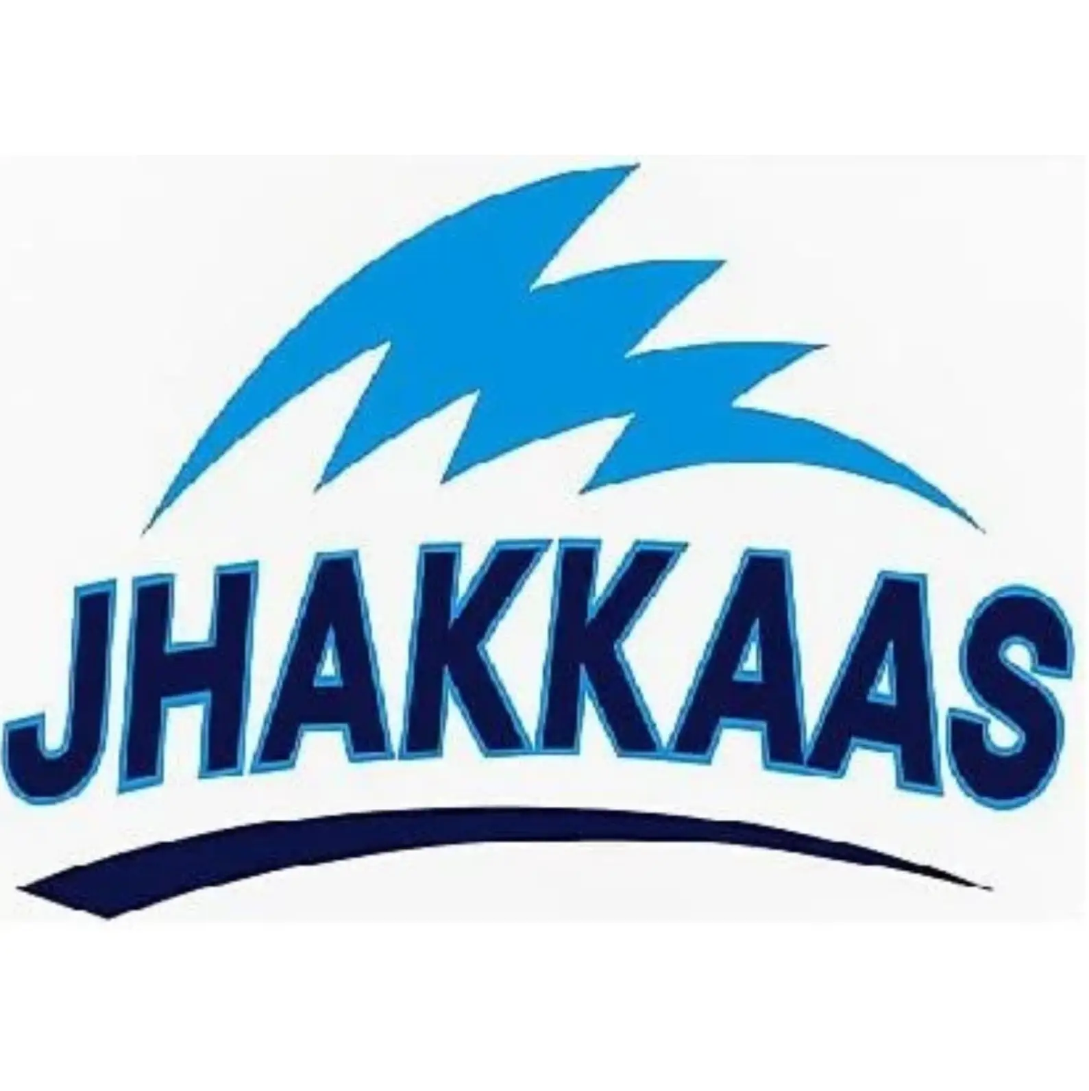 Alisha Trading Company logo