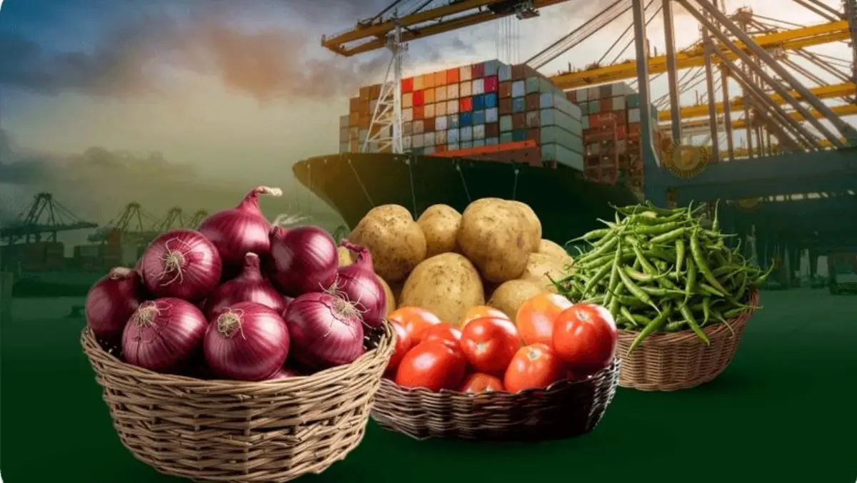 VIVI EXIM PRIVATE LIMITED company image 2