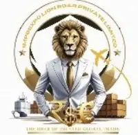 Impoexpo Lionroar Private Limited logo
