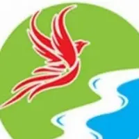 Dotehtawaddy Phoenix Trading Company Limited logo