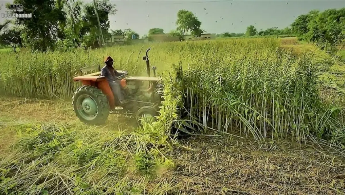 The Agriculture Group management image 1