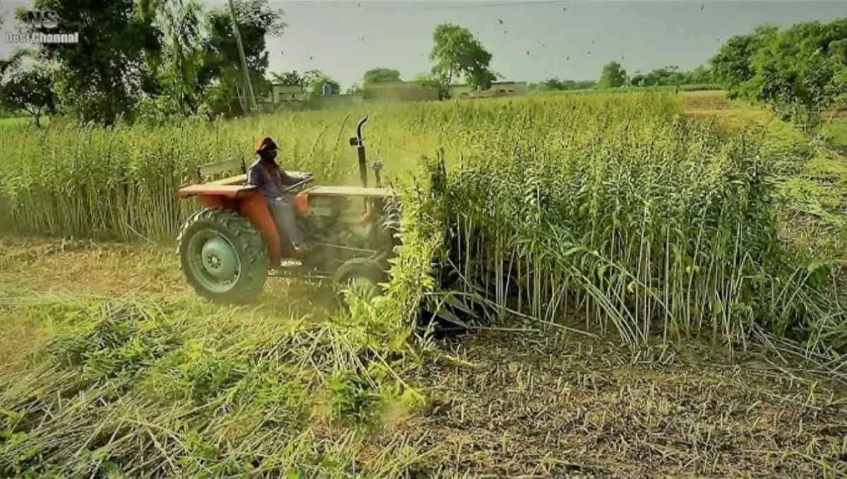 The Agriculture Group management image 2