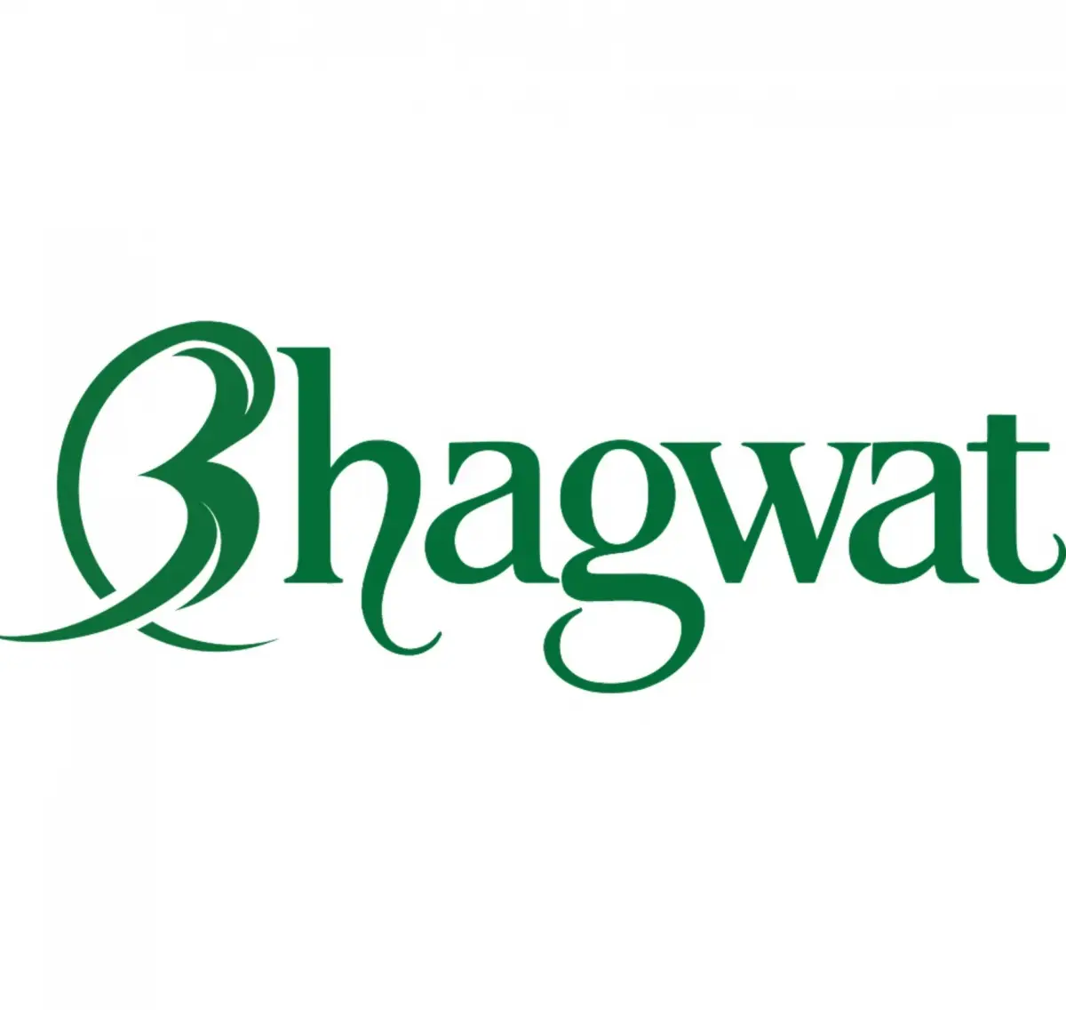 Bhagwat Import Export logo