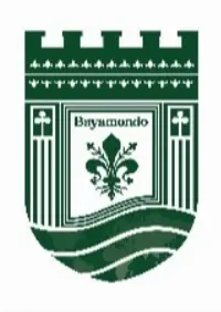Bayamondo SRL logo