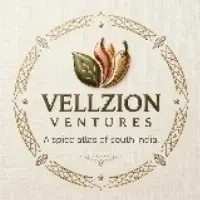 Vellzion Ventures logo