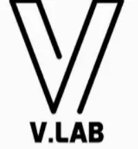 Vlab Trading Co., Ltd. logo