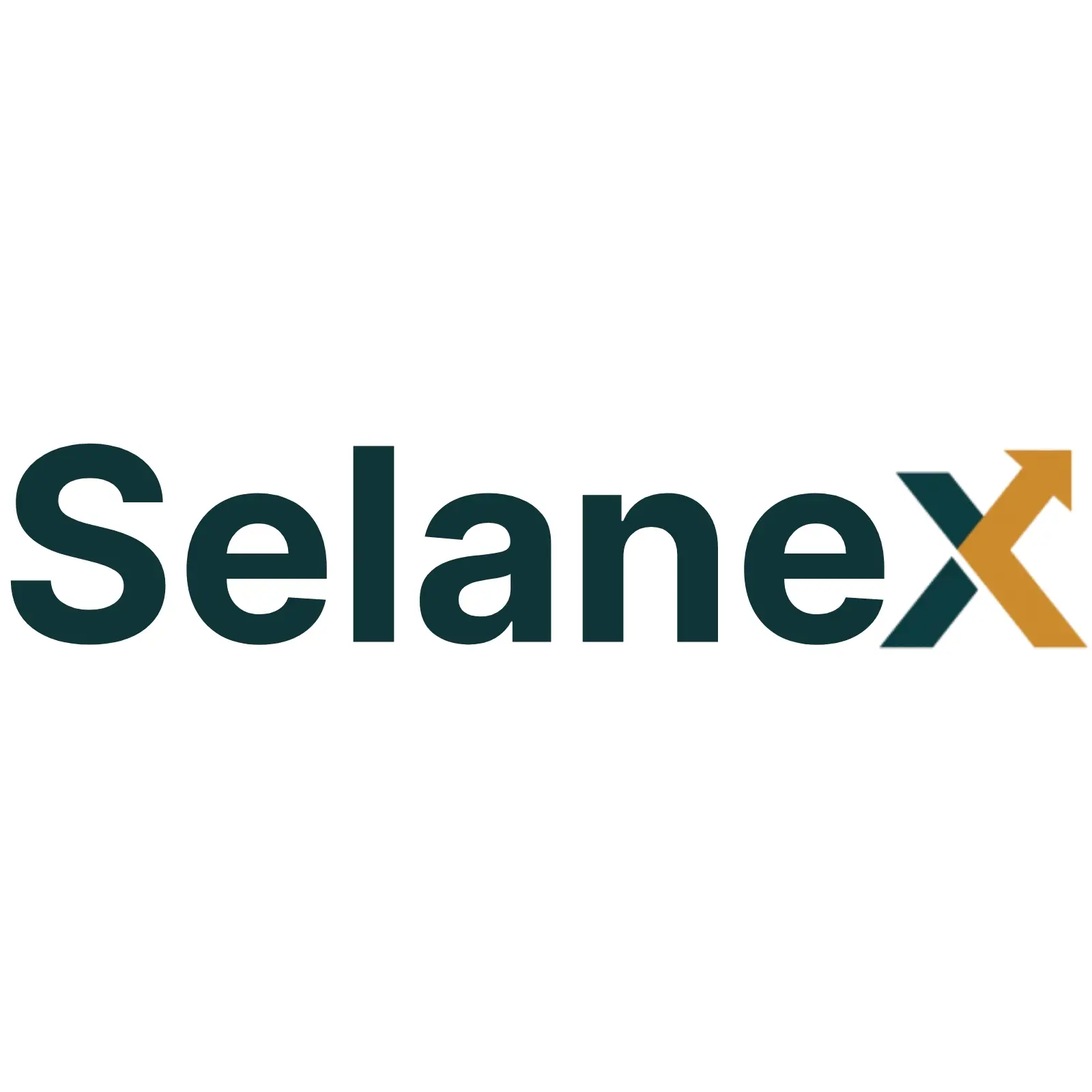 Selanex Ventures logo