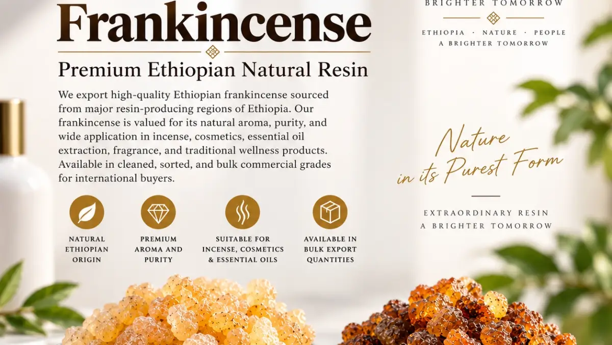 Ethio-resin Export Plc company image 2