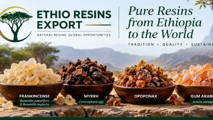 Ethio-resin Export Plc company image 1